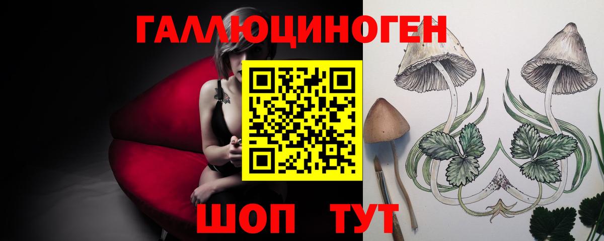 Псилоцибиновые грибы MAGIC MUSHROOMS Волоколамск